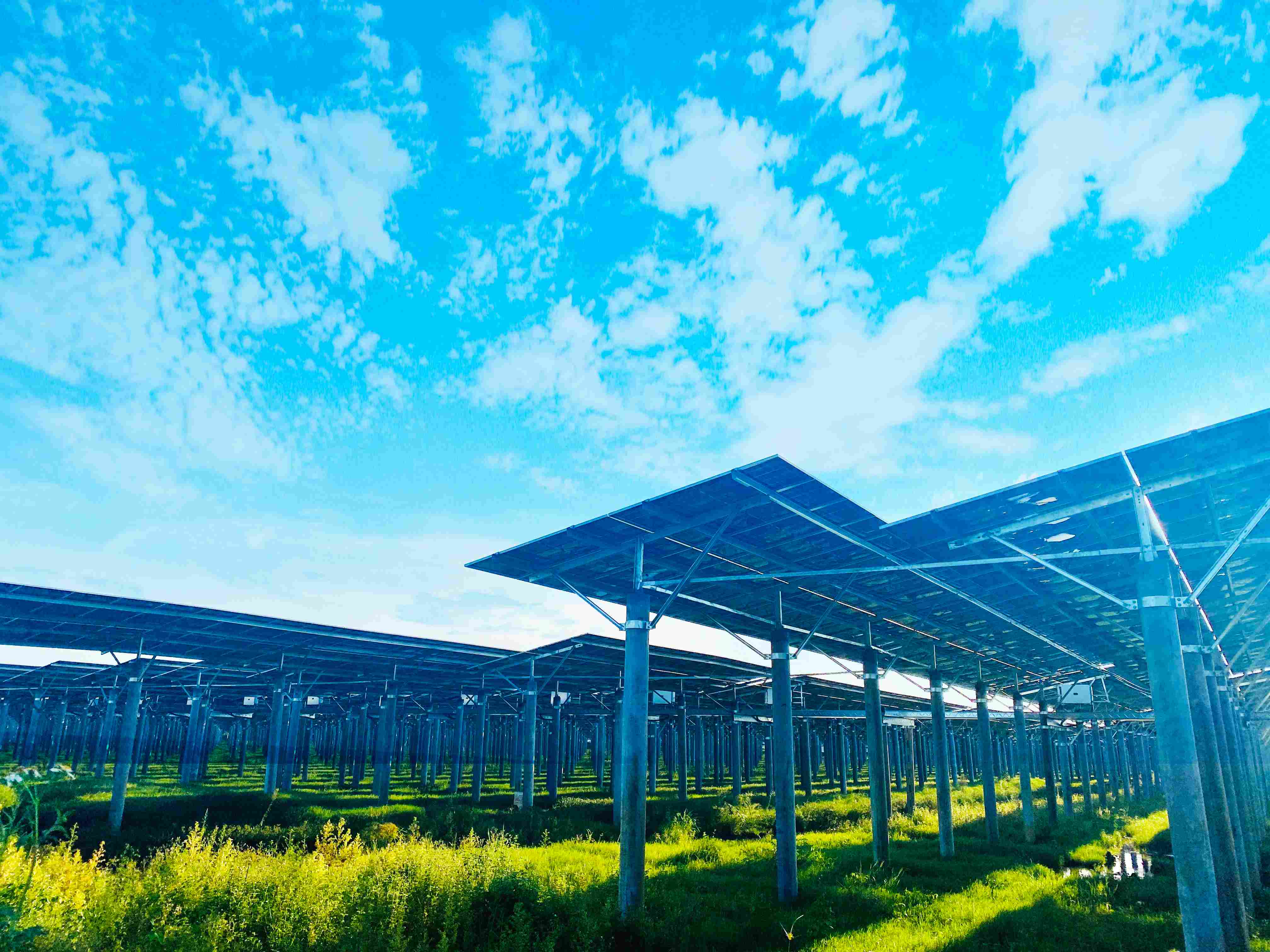 钱柜qg777(中国区)唯一官方网站